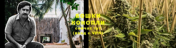 СК Надым