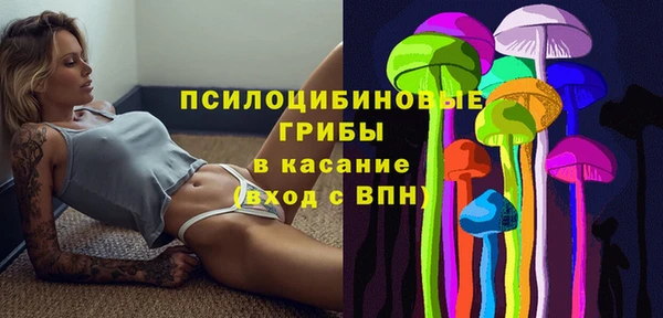 СК Надым