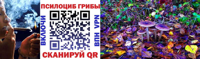 Купить где  Ковдор  Псилоцибиновые грибы Cubensis 
