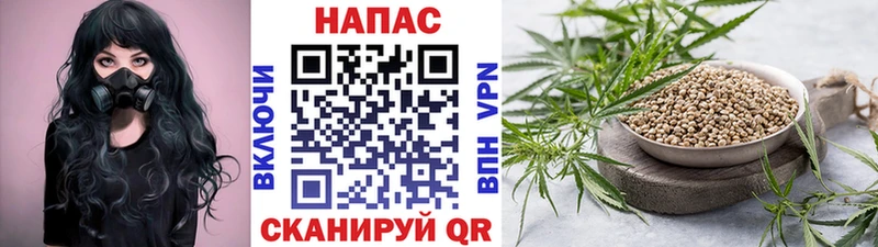 Купить  Ковдор  Шишки марихуана OG Kush 